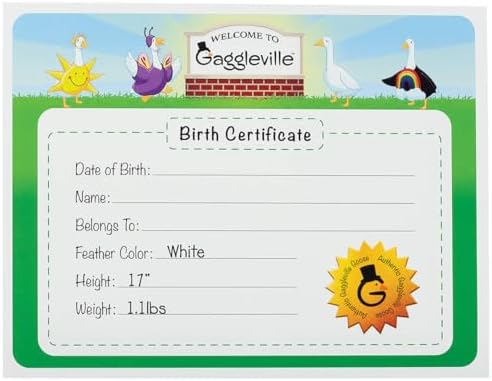 -Baby Goose Birth Certificate