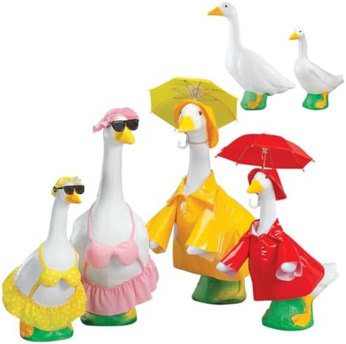 Goose Bikini and Raincoat Bundle