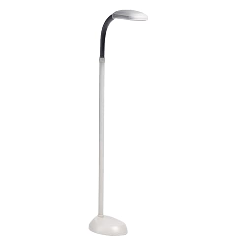 Natural Daylight Reading Lamp with Adjustable