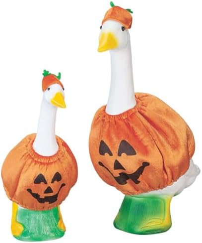 Pumpkin Large & Baby Outfits Bundle
