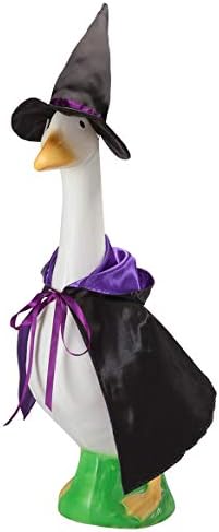Witch Goose Outfit